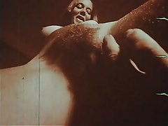 Blowjob Hairy Small Tits Vintage 